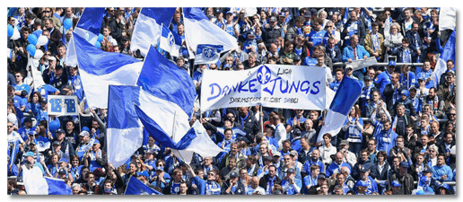 Screenshot jugenfreheit.de - Das Foto zeigt die Fankurve des SV Darmstadt 98, die verschiedene blaue und blau-weiße Fahnen schwenken, es sind keine AfD-Fahnen zu sehen