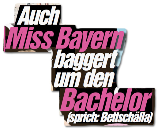 Ausriss Bild-Zeitung - Auch Miss-Bayern baggert um den Bachelor sprich: Bettschälla