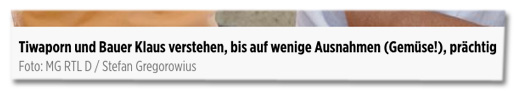 Screenshot Bildunterschrift Bild.de - Tiwaporn und Bauer Klaus verstehen, bis auf wenige Ausnahmen (Gemüse!), prächtig