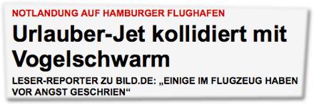 Notlandung auf Hamburger Flughafen: Urlauber-Jet kollidiert mit Vogelschwarm