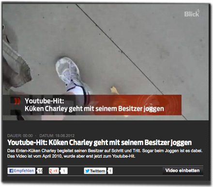 Youtube-Hit: Küken Charley geht mit seinem Besitzer joggen. Das Enten-Küken Charley begleitet seinen Besitzer auf Schritt und Tritt. Sogar beim Joggen ist es dabei. Das Video ist vom April 2010, wurde aber erst jetzt zum Youtube-Hit.