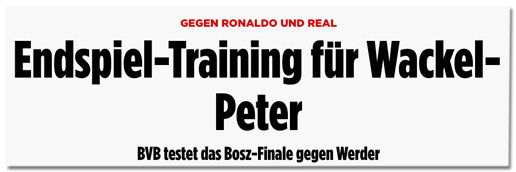 Screenshot Bild.de - Gegen Ronaldo und Real - Endspiel-Training für Wackel-Peter BVB testet das Bosz-Finale gegen Werder