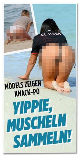 Screenshot Bild.de - Models zeigen Knack-Po - Dazu zwei Fotos, das die Hintern von zwei Frauen zeigt