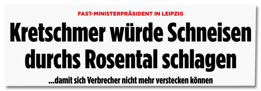 Screenshot Bild.de - Fast-Ministerpräsident in Leipzig - Kretschmer würde Schneisen durchs Rosental schlagen damit sich Verbrecher nicht mehr verstecken können