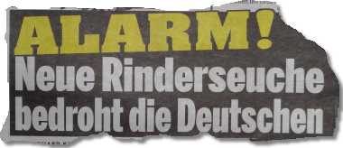 Alarm! Neue Rinderseuche bedroht die Deutschen
