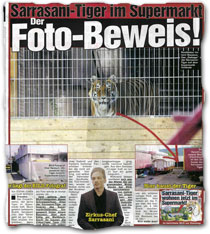 "Sarrasani-Tiger im Supermarkt: Der Foto-Beweis!"