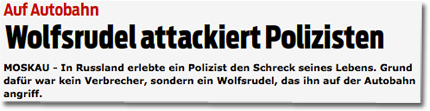 Screenshot Blick.ch