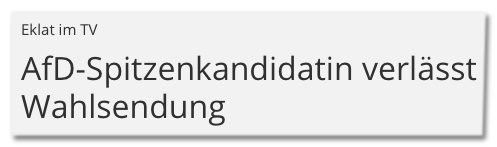 Screenshot MDR.de - Eklat im TV - AfD-Spitzenkandidatin verlässt Wahlsendung