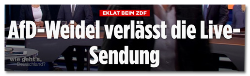 Screenshot Bild.de - Eklat beim ZDF - AfD-Weidel verlässt die ZDF-Sendung